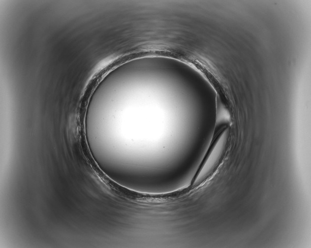 X0000086961164200704301232