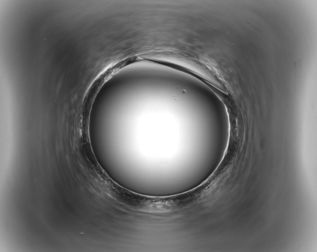 X0000086961165200704301232