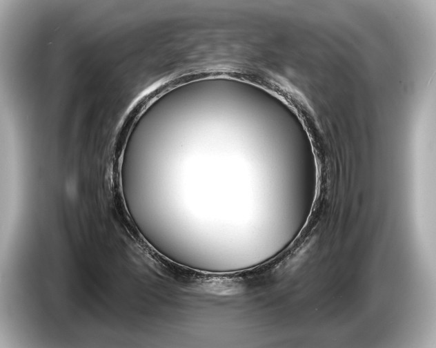 X0000086961166200704301232