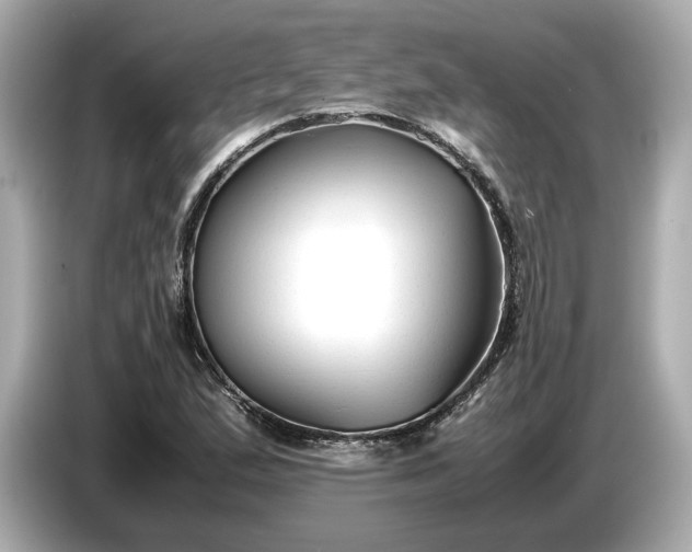 X0000086961167200704301232