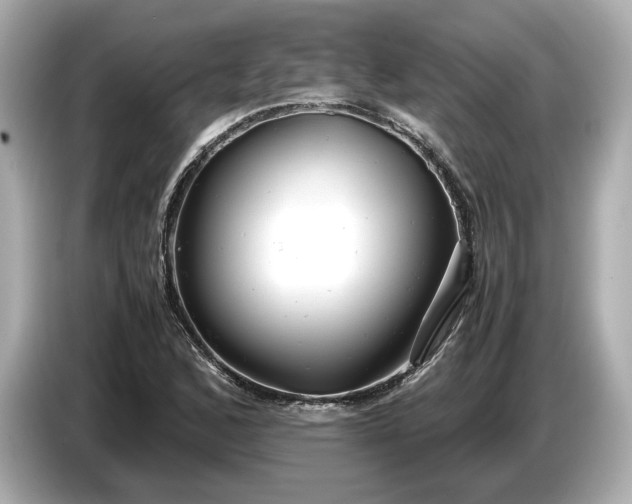X0000086961168200704301232