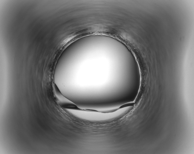 X0000086961169200704301232