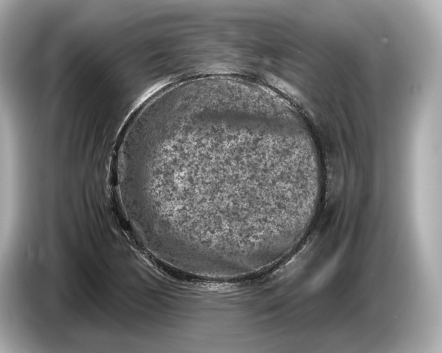 X0000086961170200704301232