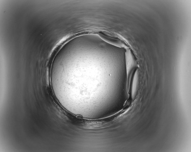 X0000086961171200704301232