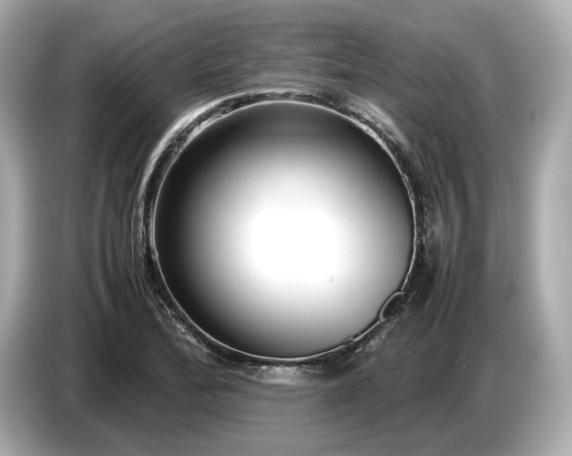 X0000086961172200704301232
