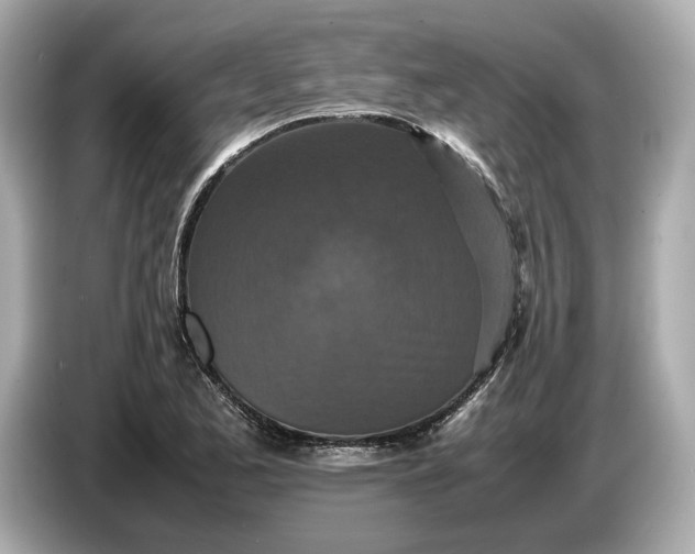 X0000086961173200704301232