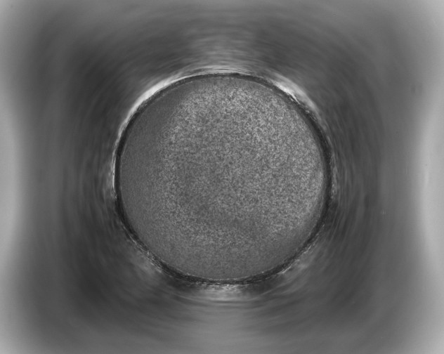 X0000086961174200704301232