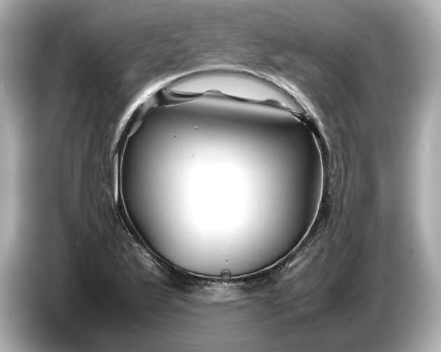 X0000086961175200704301232