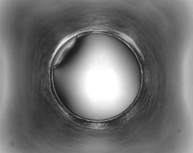 X0000086961176200704301231