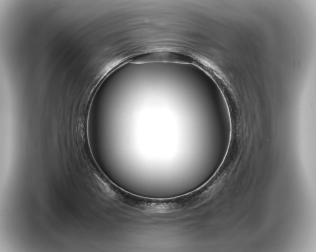 X0000086961177200704301231