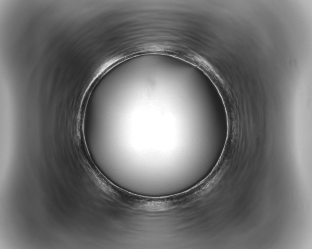 X0000086961178200704301231