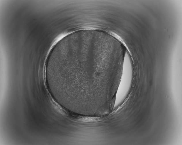 X0000086961179200704301231