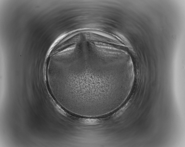 X0000086961180200704301231