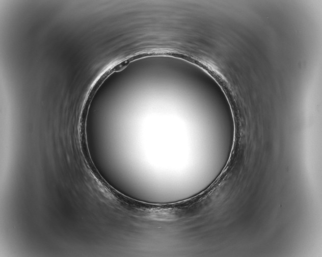 X0000086961181200704301231