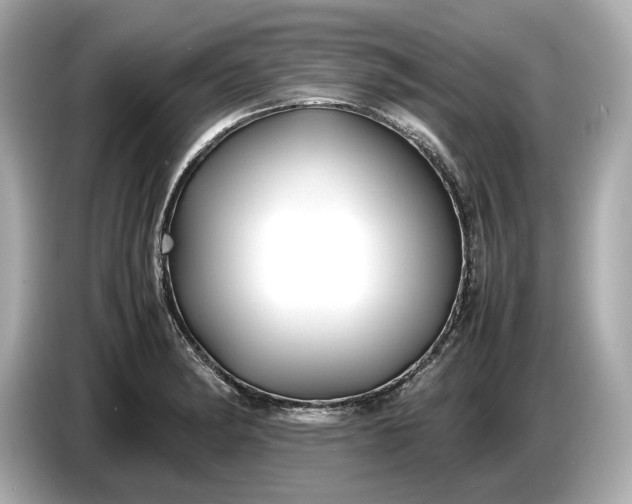 X0000086961182200704301231