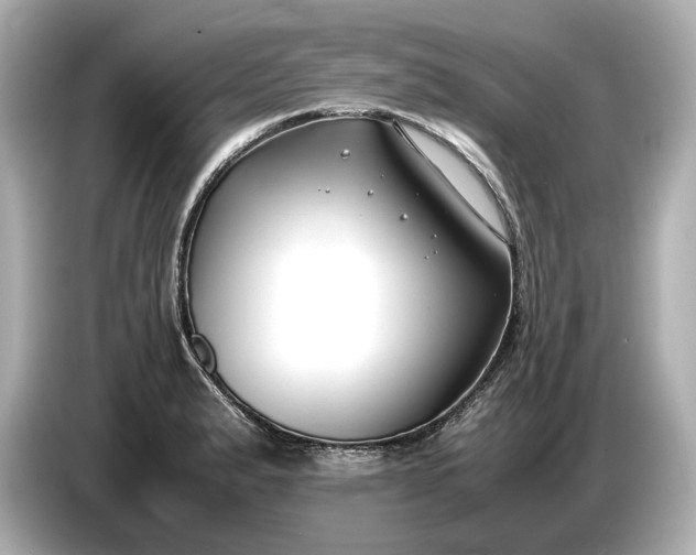 X0000086961183200704301231