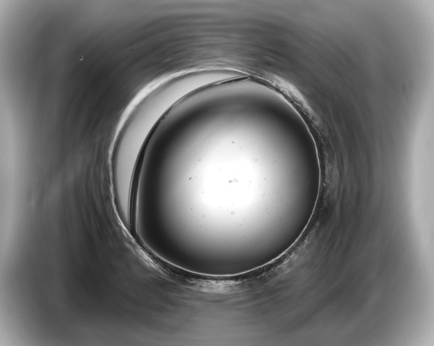 X0000086961184200704301231