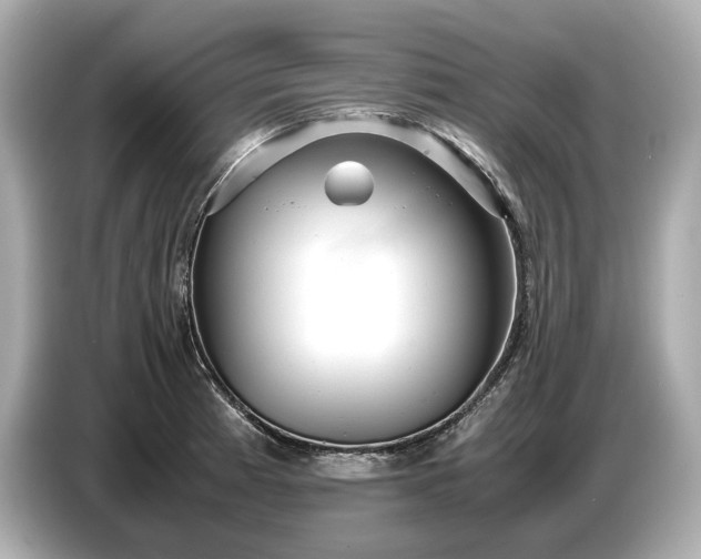 X0000086961185200704301231