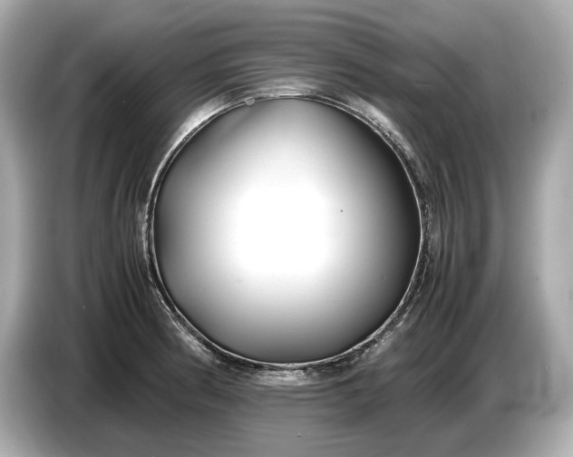 X0000086961186200704301231