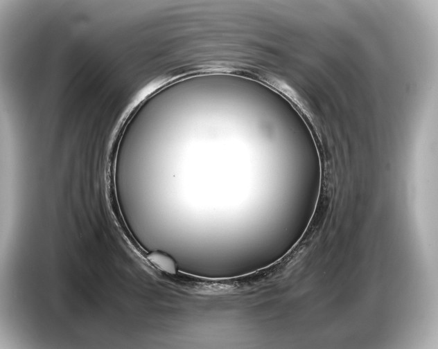X0000086961187200704301231
