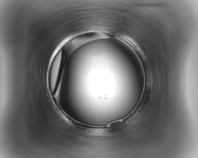X0000086961188200704301231