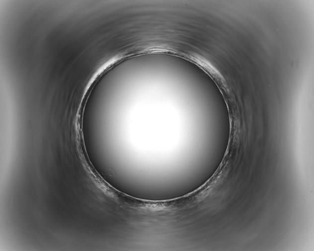 X0000086961190200704301231