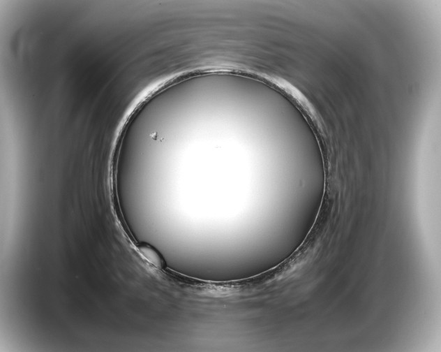 X0000086961191200704301231