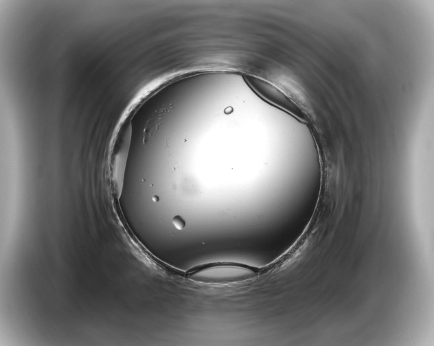 X0000086961192200704301231