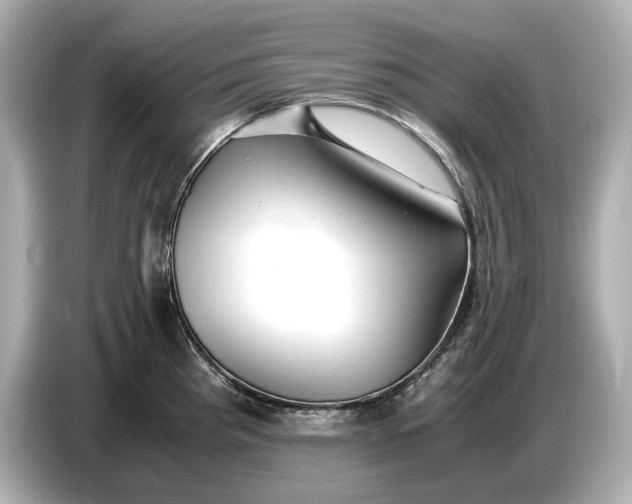 X0000086961193200704301231