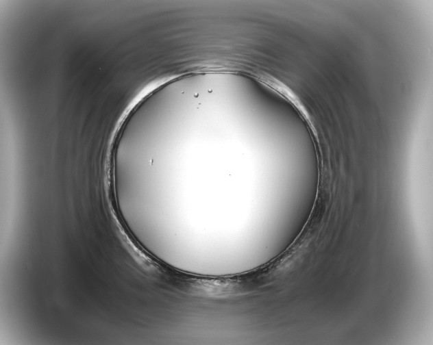 X0000086961195200704301231