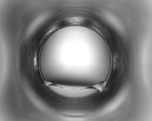 X0000086961198200704301231