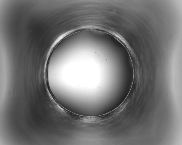 X0000086961199200704301231