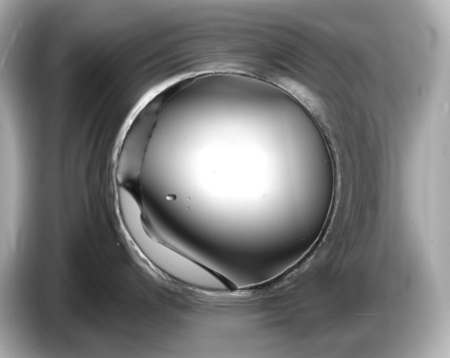 X0000086961200200704301231
