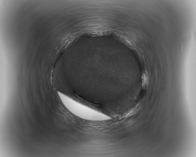 X0000086961202200704301231