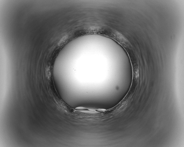 X0000086961204200704301231