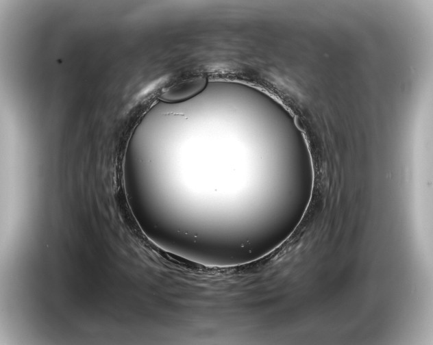 X0000086961205200704301231