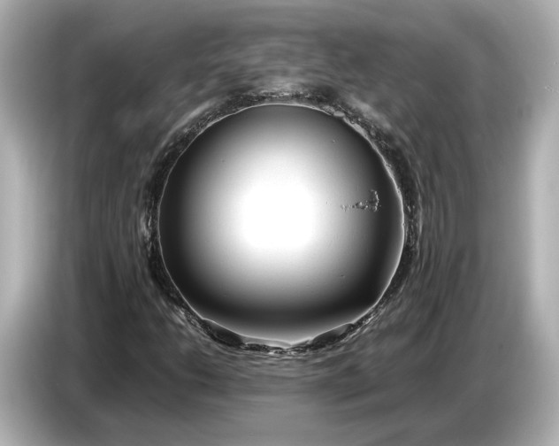 X0000086961206200704301231