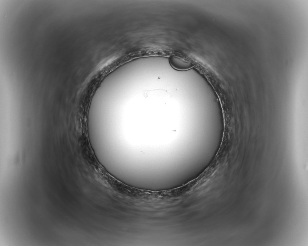 X0000086961207200704301231