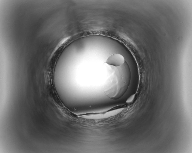 X0000086961208200704301231
