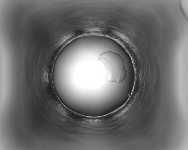 X0000086961209200704301231