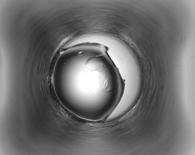 X0000086961210200704301231