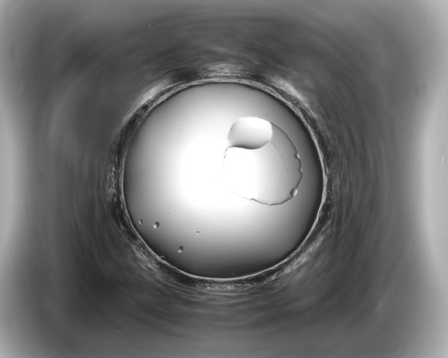 X0000086961211200704301231