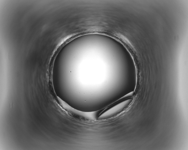X0000086961212200704301231