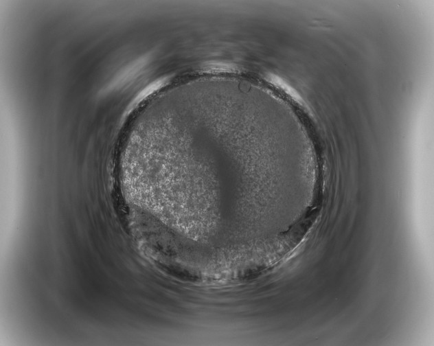 X0000086961213200704301231