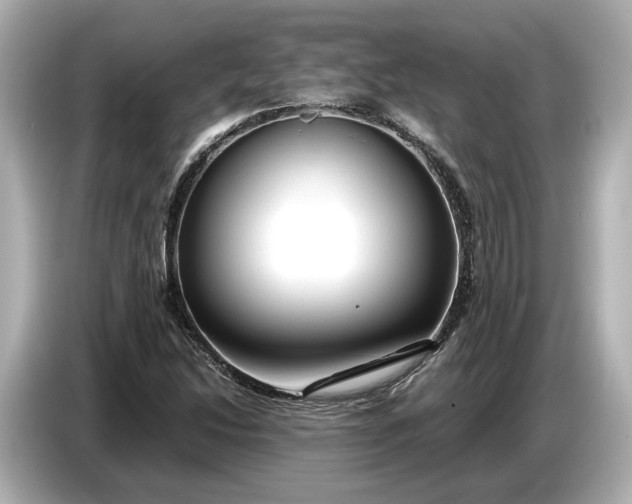 X0000086961214200704301231