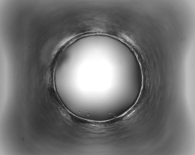X0000086961215200704301231