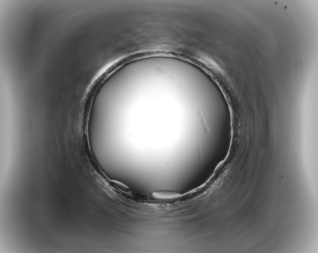 X0000086961216200704301231