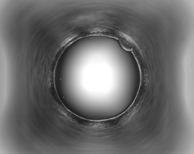 X0000086961217200704301231