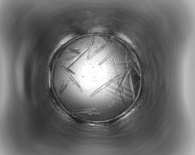 X0000086961219200704301231