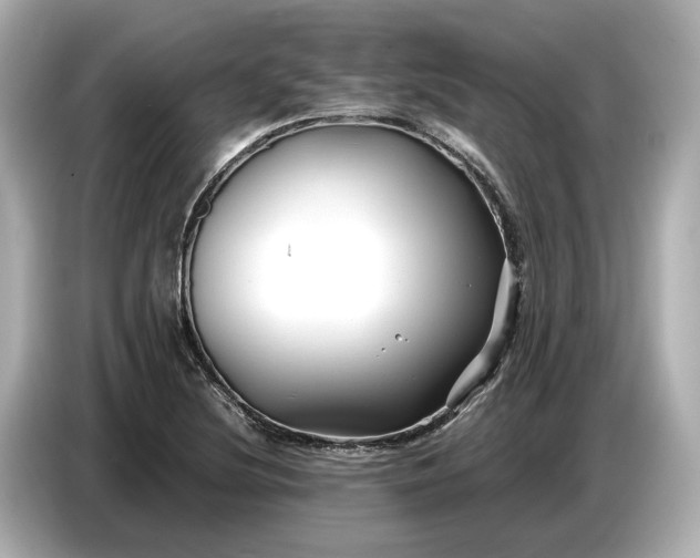 X0000086961220200704301231